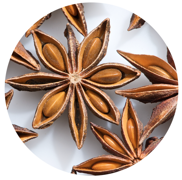 Anise Seed | plant